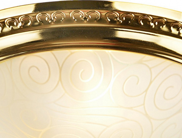 Накладной светильник Arte Lamp Alta A3013PL-2GO