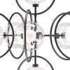 Подвесная люстра Lightstar Alfa 745077