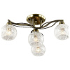 Потолочная люстра Lumion Girono 2942/4C