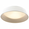 Накладной светильник Odeon Light Sapia 4157/3C