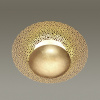 Накладной светильник Odeon Light Solario 3559/24L