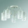 Потолочная люстра Lumion Imani 3263/5C
