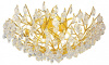 Потолочная люстра Favourite Pluvia 4162-10C