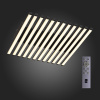 Накладной светильник ST-Luce Paralleli SL839.402.18