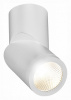 Светильник на штанге ST-Luce ST650 ST650.542.10
