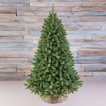 Ель новогодняя [2.3 м] Лесная красавица голубая 73457