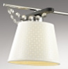 Потолочная люстра Odeon Light Salanso 2931/5C